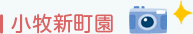 ҿĮ